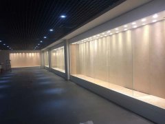 博物馆通柜生产厂家